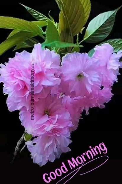 MTR133158