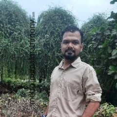 MTR018513
