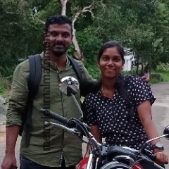 MTR019354