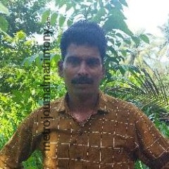 MTR019464