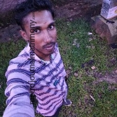 MTR019242