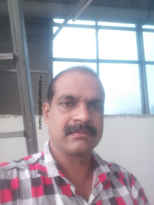 MTR018529